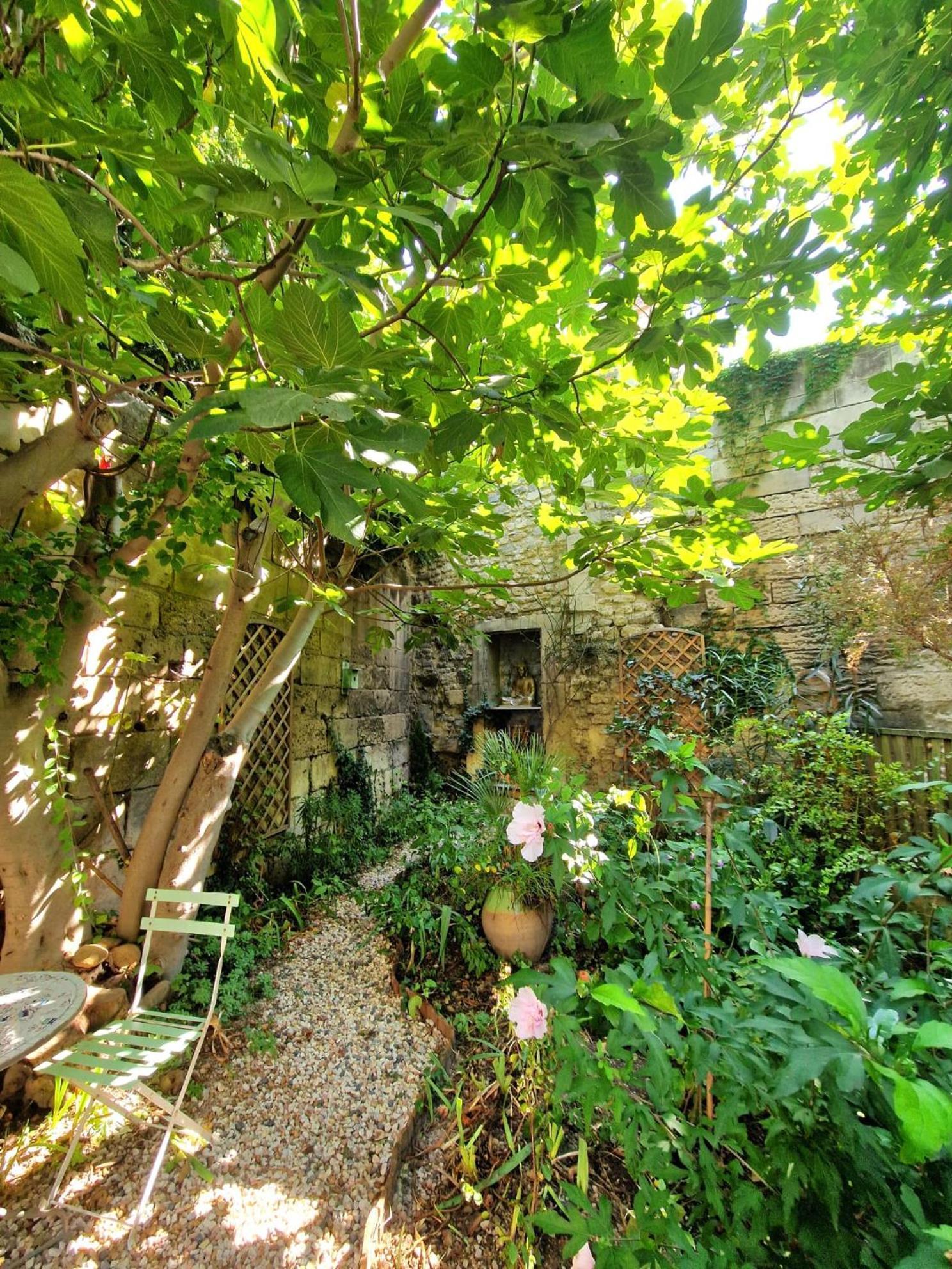 Capucines, Un Jardin Secret Dans Le Centre Historique Διαμέρισμα Αρλ Εξωτερικό φωτογραφία